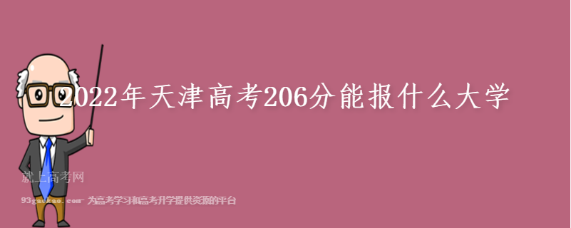 2022年天津高考206分能报什么大学