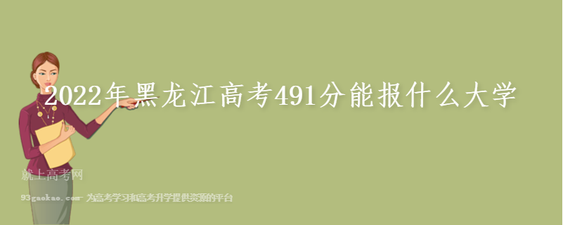 2022年黑龙江高考491分能报什么大学