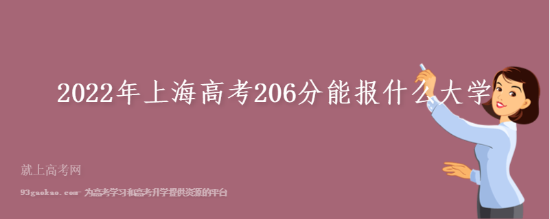 2022年上海高考206分能报什么大学