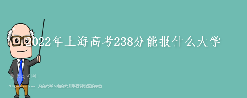 2022年上海高考238分能报什么大学