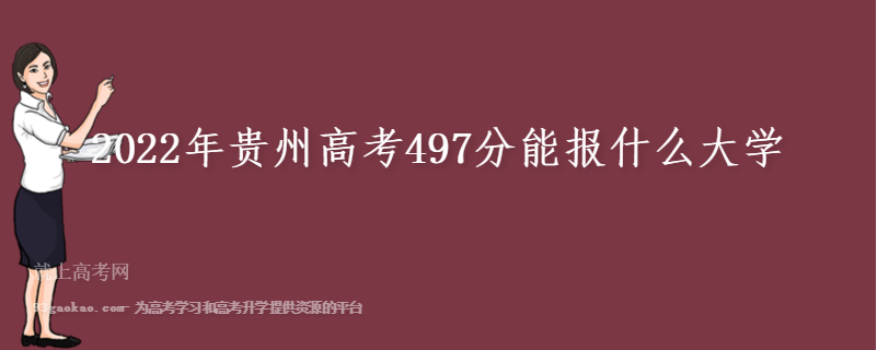 2022年贵州高考497分能报什么大学