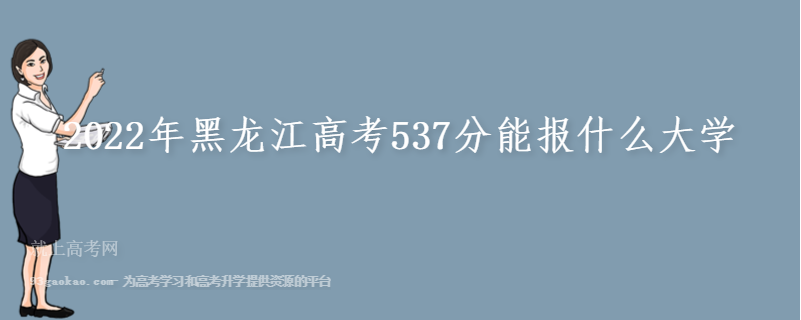 2022年黑龙江高考537分能报什么大学