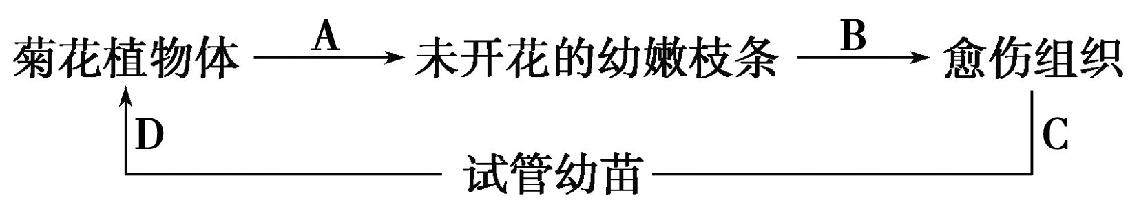 山西省忻州一中2014-2015学年高二下学期期中考试生物试卷