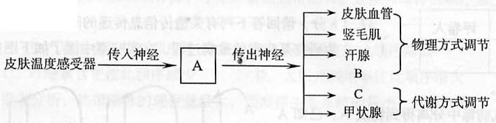 2006年高考生物试题及答案（上海卷）.doc