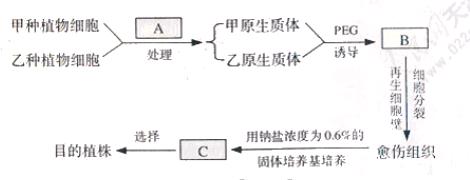 2006年高考理科综合试题及答案（天津卷）.doc