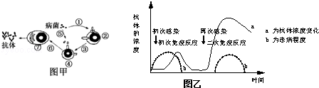 2015上海市高考压轴卷生物Word版含解析