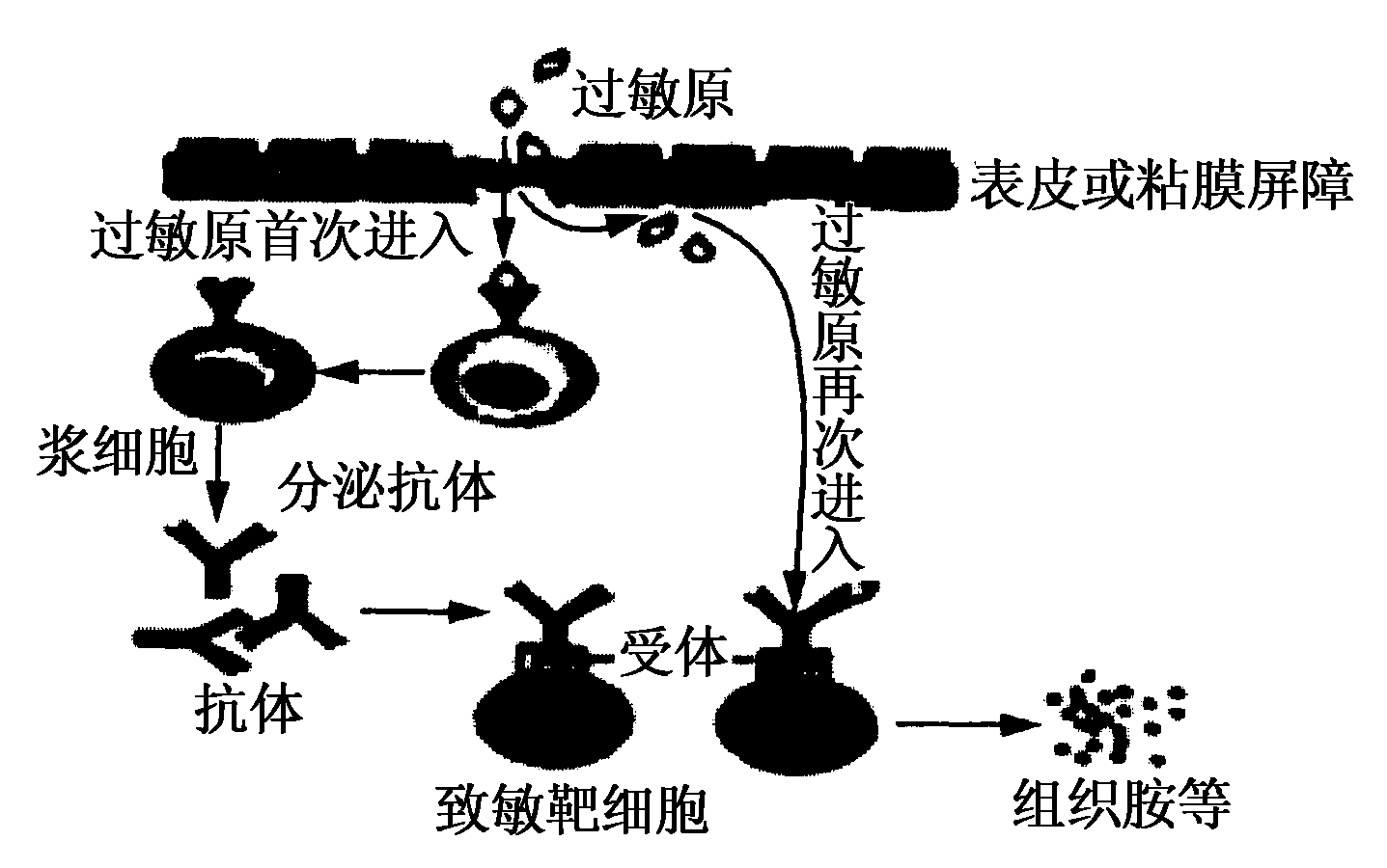 2015海南省高考压轴卷生物