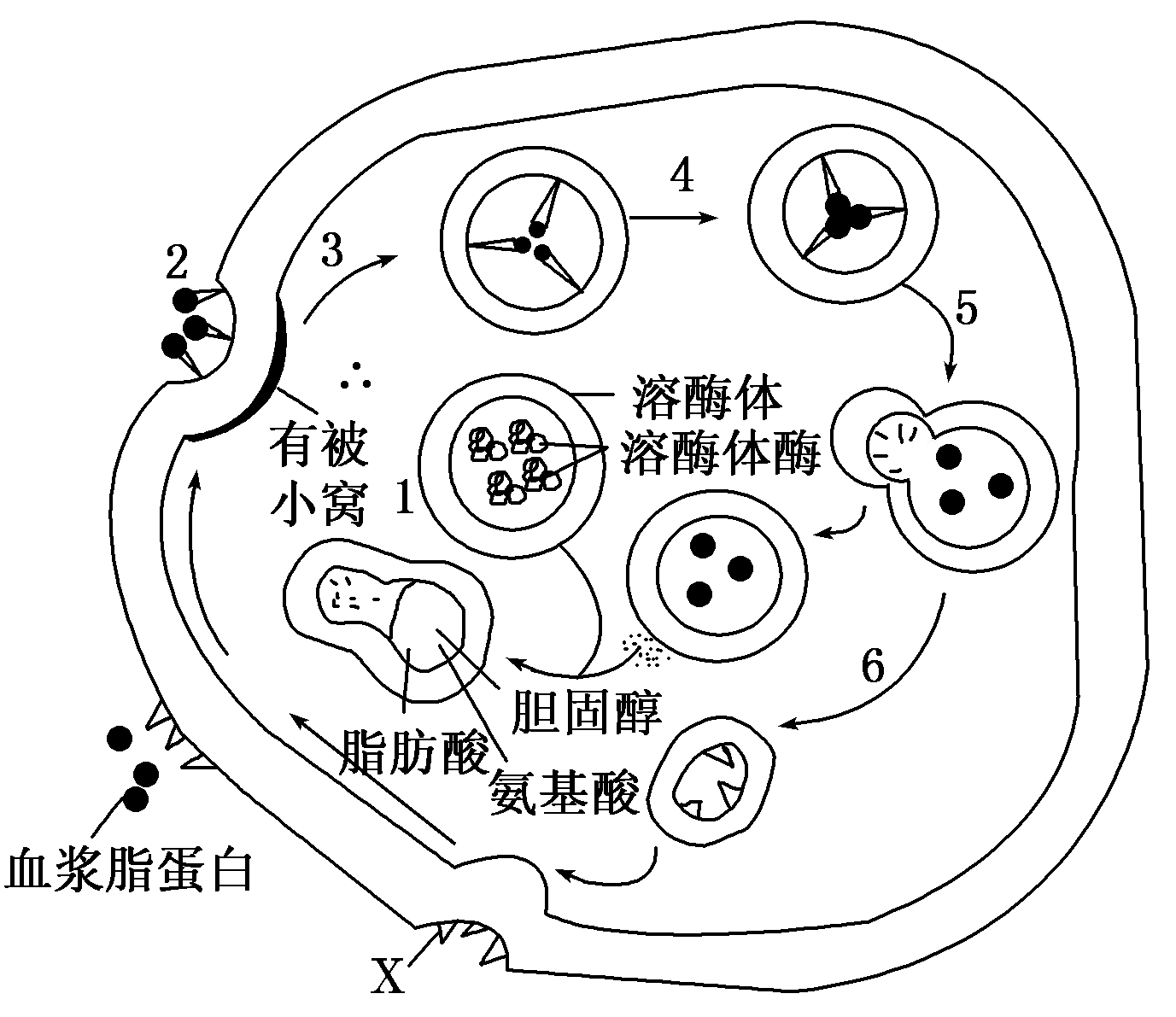2015海南省高考压轴卷生物