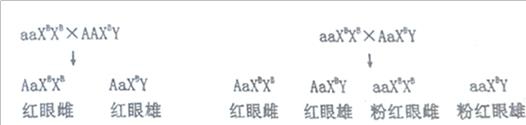 2018年4月浙江省普通高校招生选考科目考试生物仿真模拟试题C（解析版）