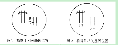 重庆市铜梁中学校2015届高三下学期模拟测试（一）生物试卷