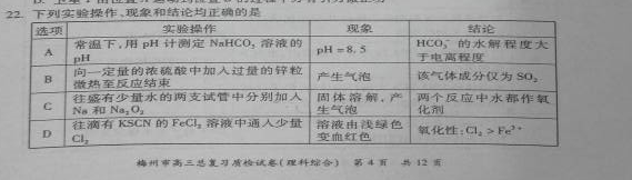 广东省梅州市2015届高三5月总复习质检（二模）理综化学试卷