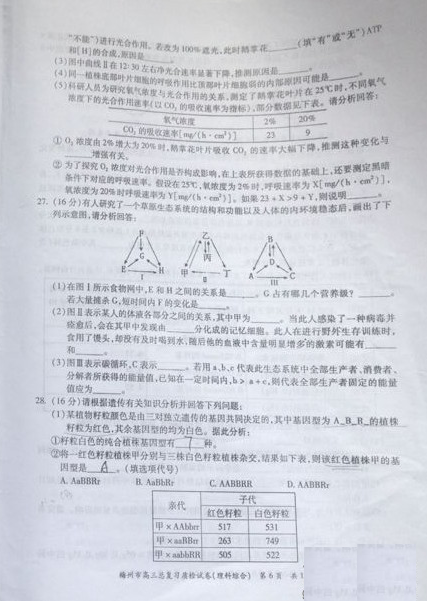 广东省梅州市2015届高三5月总复习质检（二模）理综生物试卷
