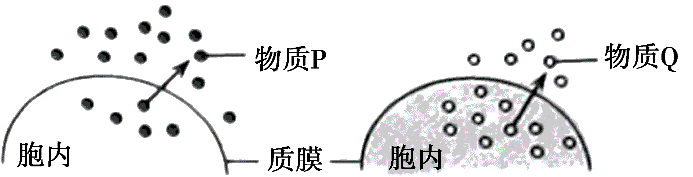云南省昆明三中2015-2016学年高一上学期期末考试生物试卷