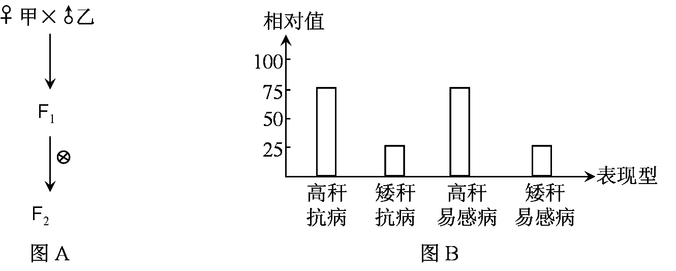 海南省文昌中学2014-2015学年高一下学期期末考试生物（理）试卷（无答案）